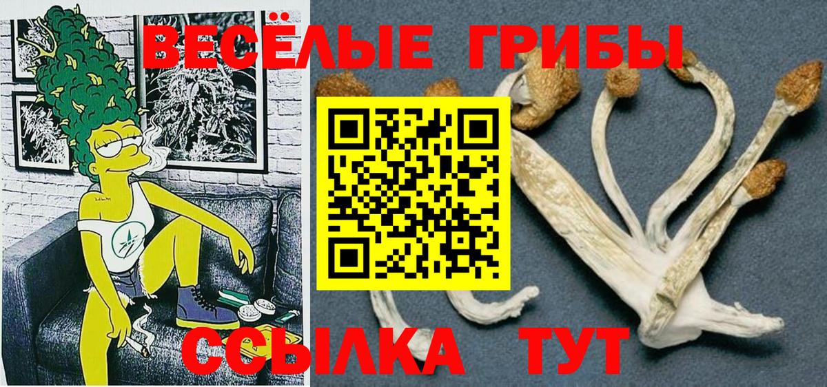 Галлюциногенные грибы ЛСД  Вход с VPN  Избербаш  купить наркотики сайты  Псилоцибиновые грибы MAGIC MUSHROOMS 